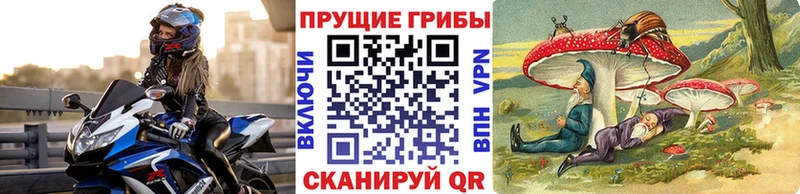 Псилоцибиновые грибы Cubensis  где продают наркотики  Змеиногорск 